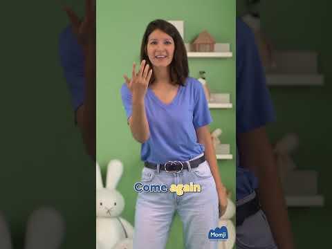 Vidéo