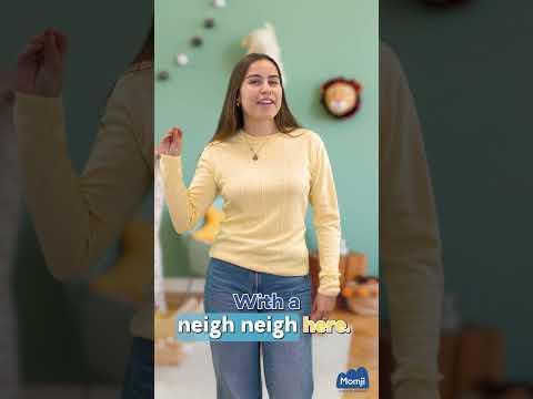 Vidéo