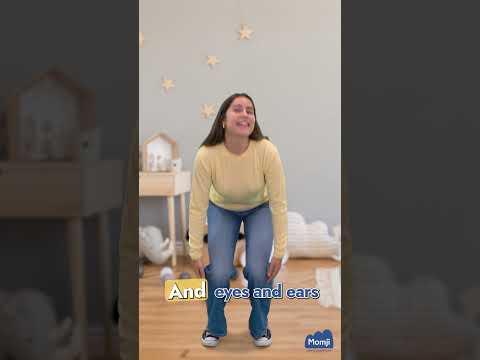 Vidéo