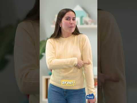 Vidéo