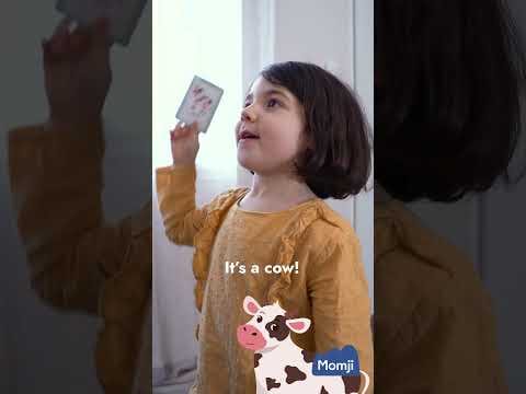 Vidéo